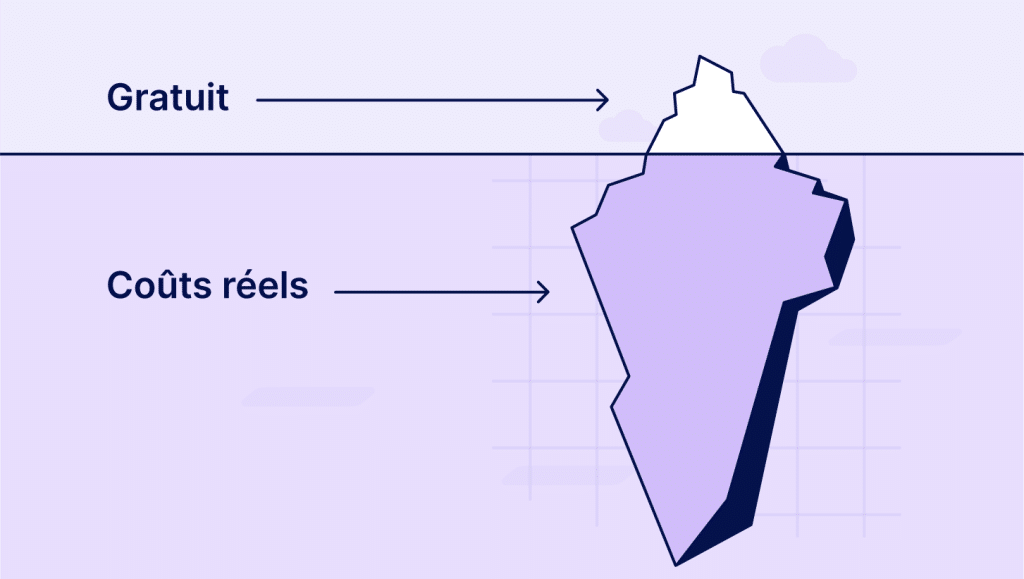 Hidden costs of creating a free website and domain hosting